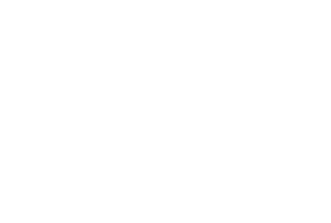 Rent A Bob